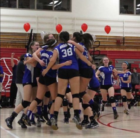 Volleyball Celebrates a win!