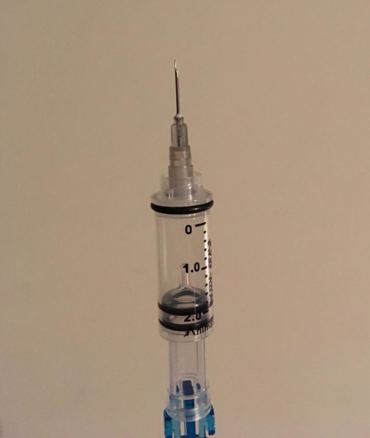 Needles similar to this would be used to administer a lethal injection