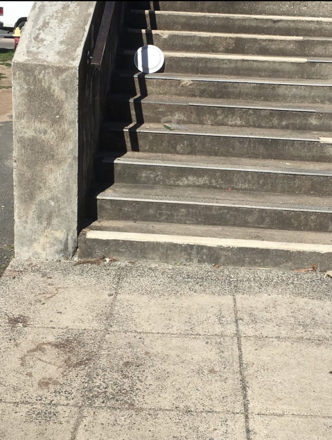 A Styrofoam plate and plastic bag left on the steps at Hall High School after lunch.