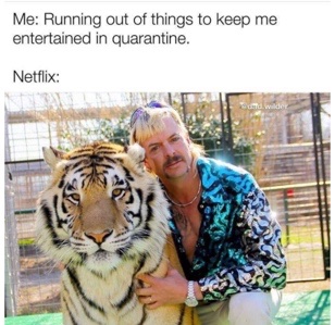 A Tiger King meme posted by the Instagram account @dad.wilder on March 21, 2020, captioned: “Thanks @netflix, keep em coming!”
