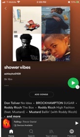 Here’s a screenshot of my “shower vibes” playlist. I am currently listening to “Falling” by Trevor Daniels. This is a good sad song to listen to. 
