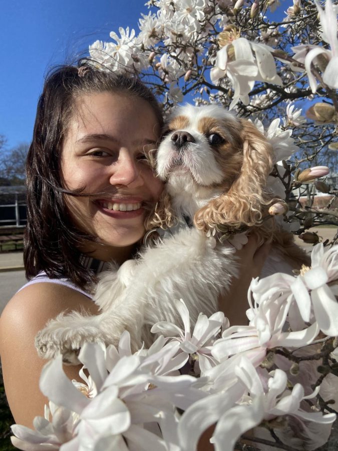 Puppy and flowers photoshoot.