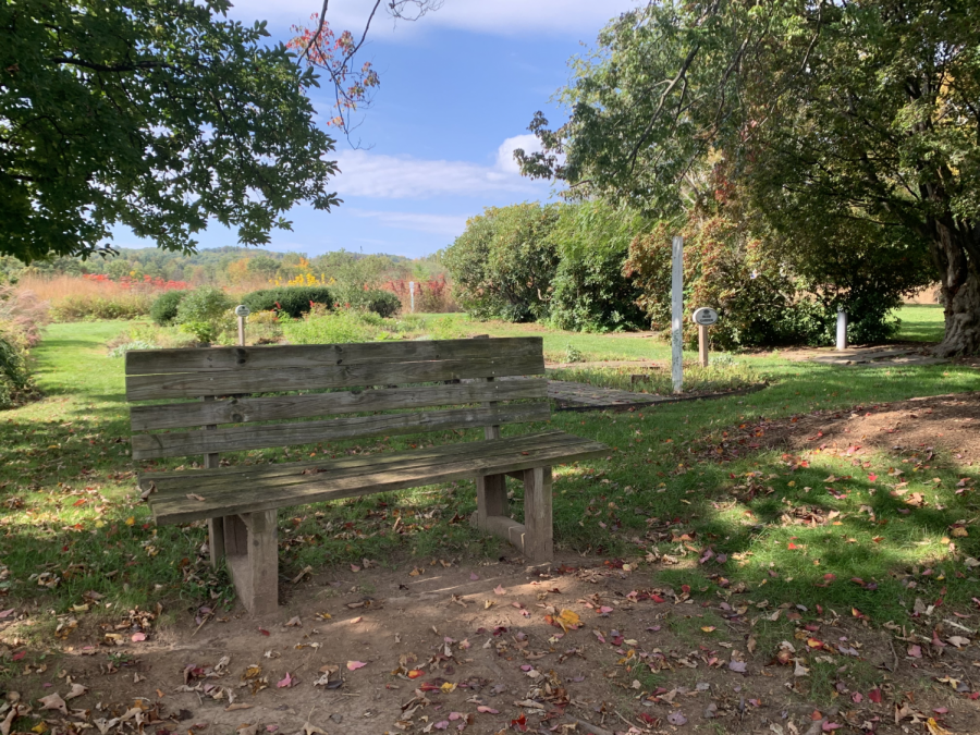 Westmoor Park is one of many places popular among families with young children in West Hartford, where the benches provide a shady spot to picnic in. 