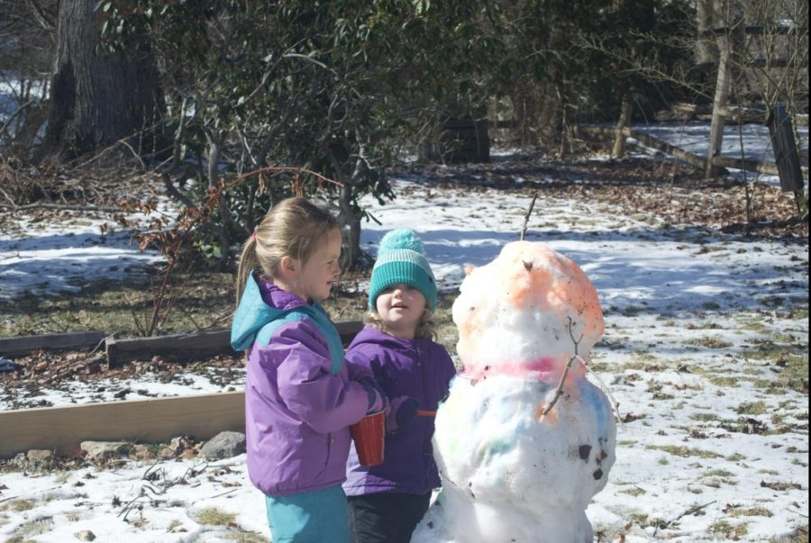 Having siblings changes your childhood for better or worse. Positive memories dont need to involve xbox, Playstation, phones, even something as simple as building a snowman can make your life happier and healthier.