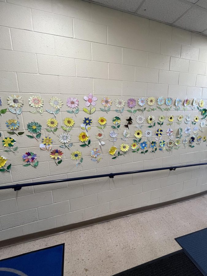 Students at Hall High School colored in sunflowers, which is the national flower of Ukraine, to show their encouragement for the current conflict in Ukraine.