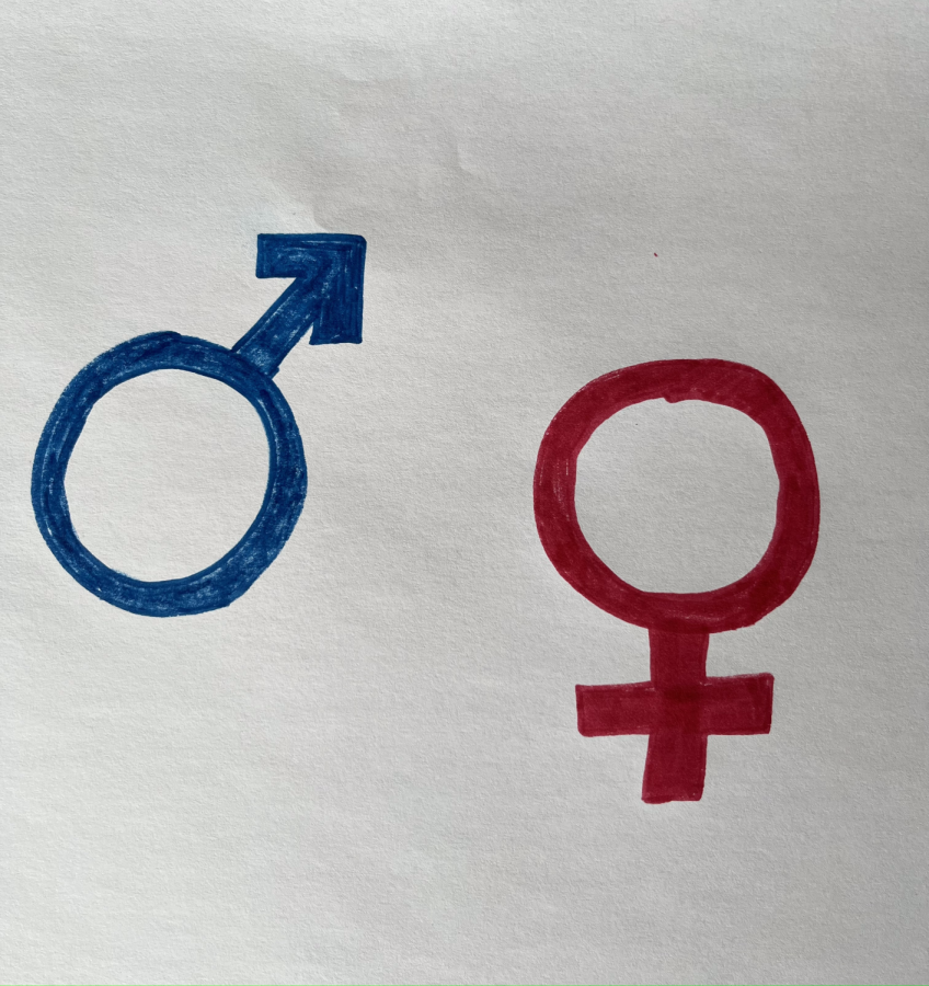 These gender symbols represent the traditional separation of women and male sports which is now in question with more transgender participation, especially in womens sports.