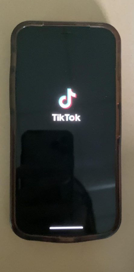The popular app Tiktok.