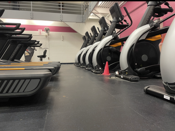Rows of different machines installed so every type of cardio is only a few steps away.