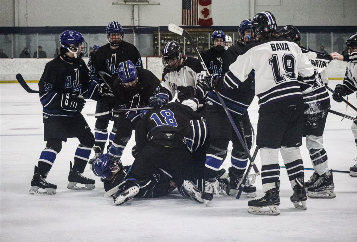 a brutal brawl breaks out on the ice. 