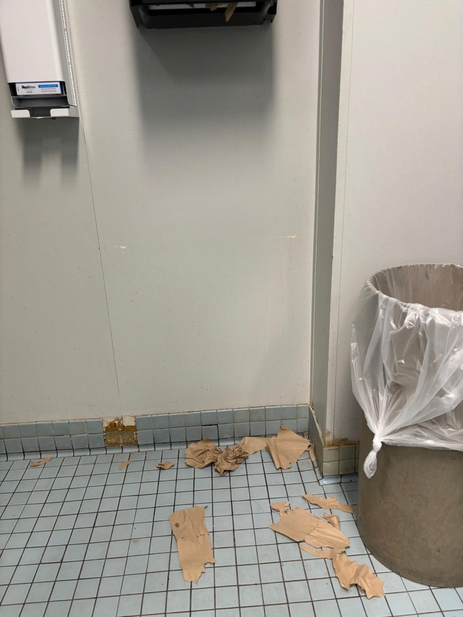 Students at Hall have no Respect for our Bathrooms.