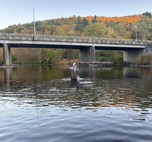 A fly fisherman pinpointing a spot on the river to land the fly. 