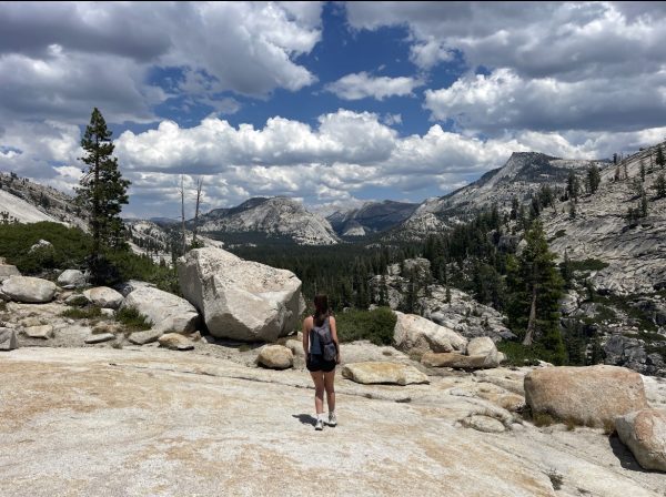 Taking a moment to embrace the unforgettable scenes Yosemite National Park has to offer