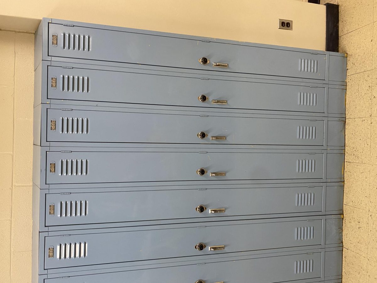 The length of 75% of the lockers in the school. As you can see VERY SKINNY!!