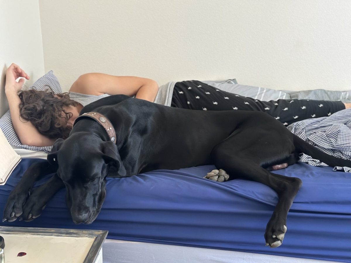 Even though we are adventurous, the big brute needs sleep. Me and Murphy laying in bed. At this point in time he is 125 lbs. This dog means a lot
