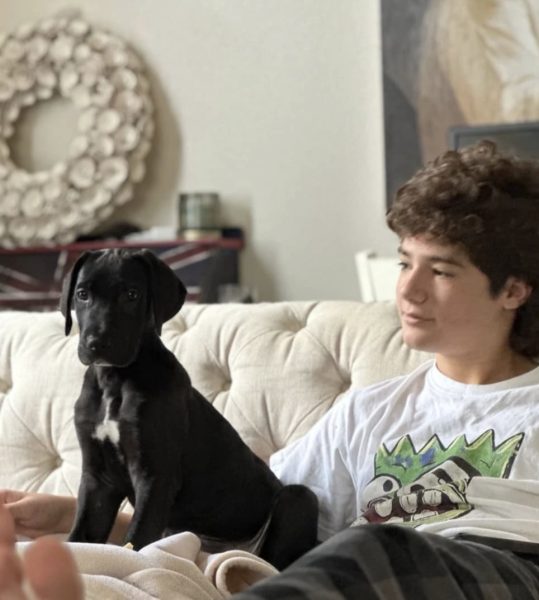 A photo of me and my dog, Murphy. He is about 8 to 10 weeks old. He has a lot of growing up to do. I was 16 years old and dedicated everyday I got home to taking care of this little guy