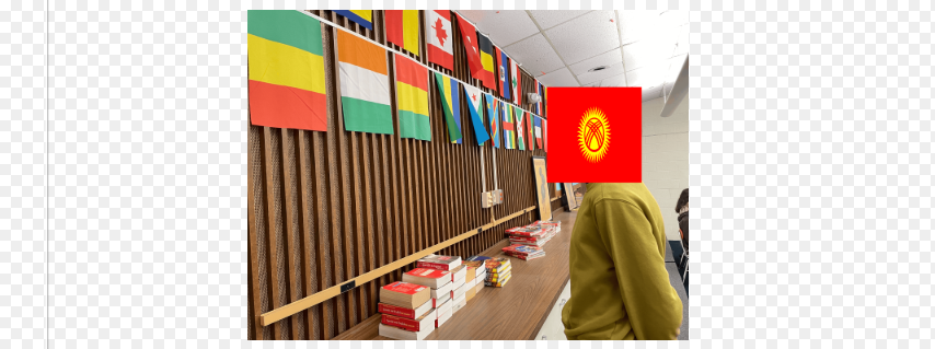 Me looking at the flags of Congo-Brazzaville, Bosnia and Herzegovina, Benin, Canada, Switzerland, Belgium, Haiti, Lebanon, the Dominican Republic, Ecuador, Mali, Cote d’Ivoire, Guinea, Gabon, Djibouti, Congo-Kinshasa, the Central African Republic, Burundi, Burkina Faso, France, and more, all on a classroom wall. The flag obscuring my face is my favorite, Kyrgyzstan (1992-2023).