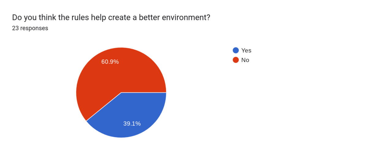 What the students had to say!
