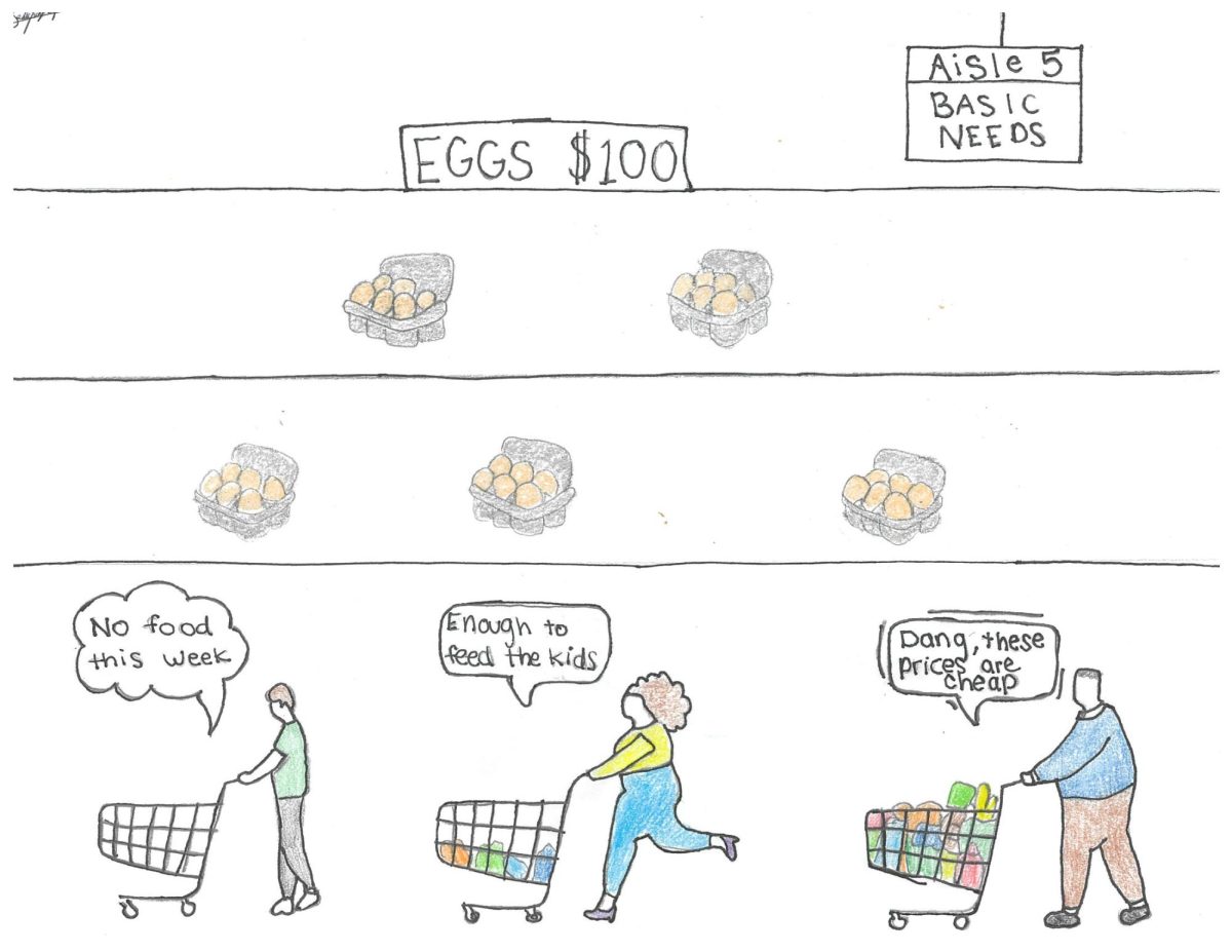 The Rise of Food Prices
